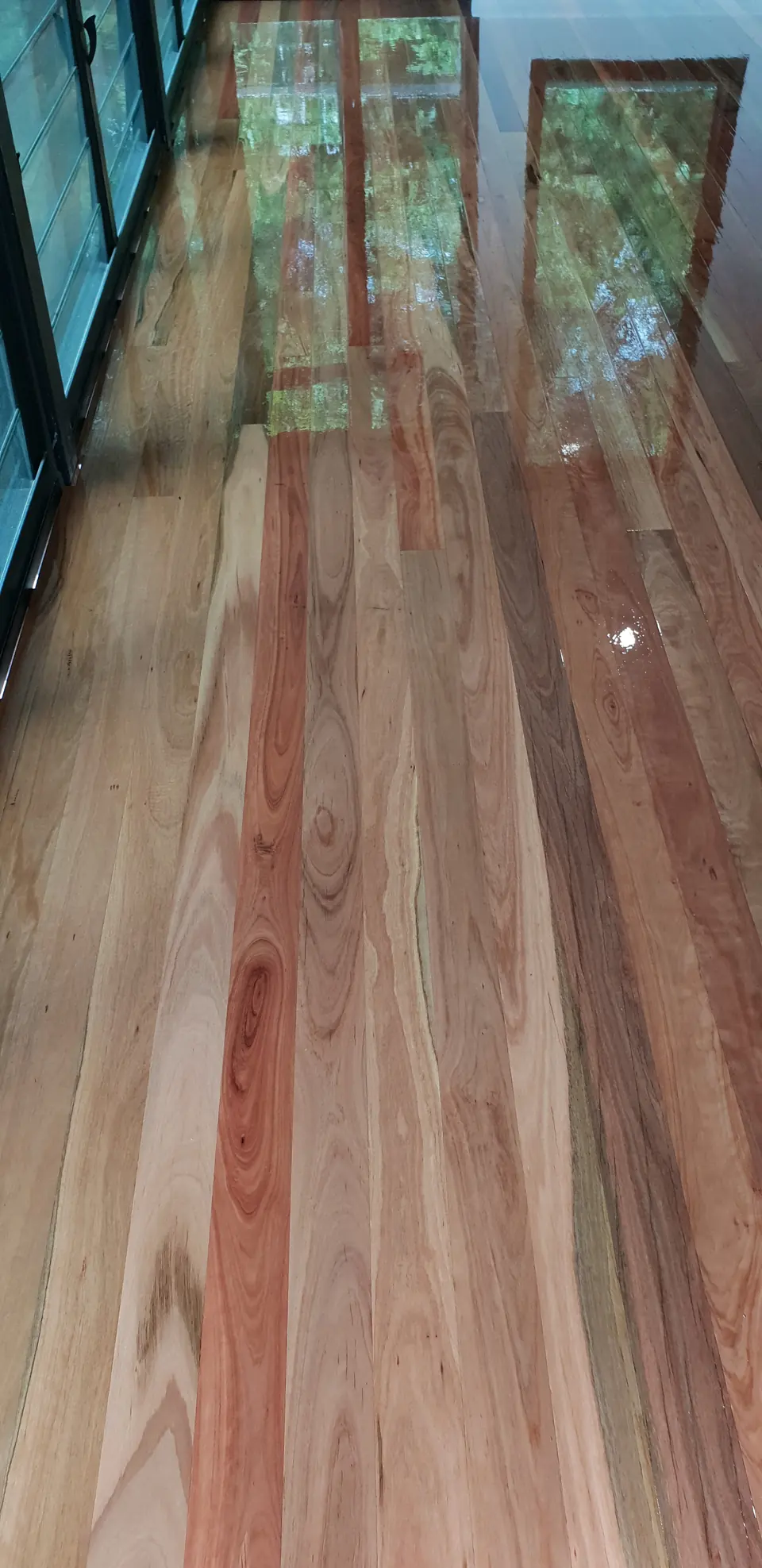 Glossy variegated timber flooring beside large windows and dark frames